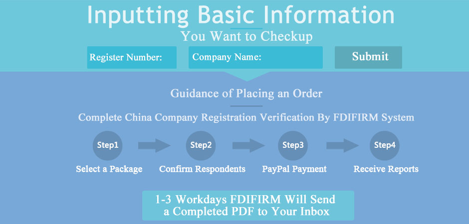 credit report process